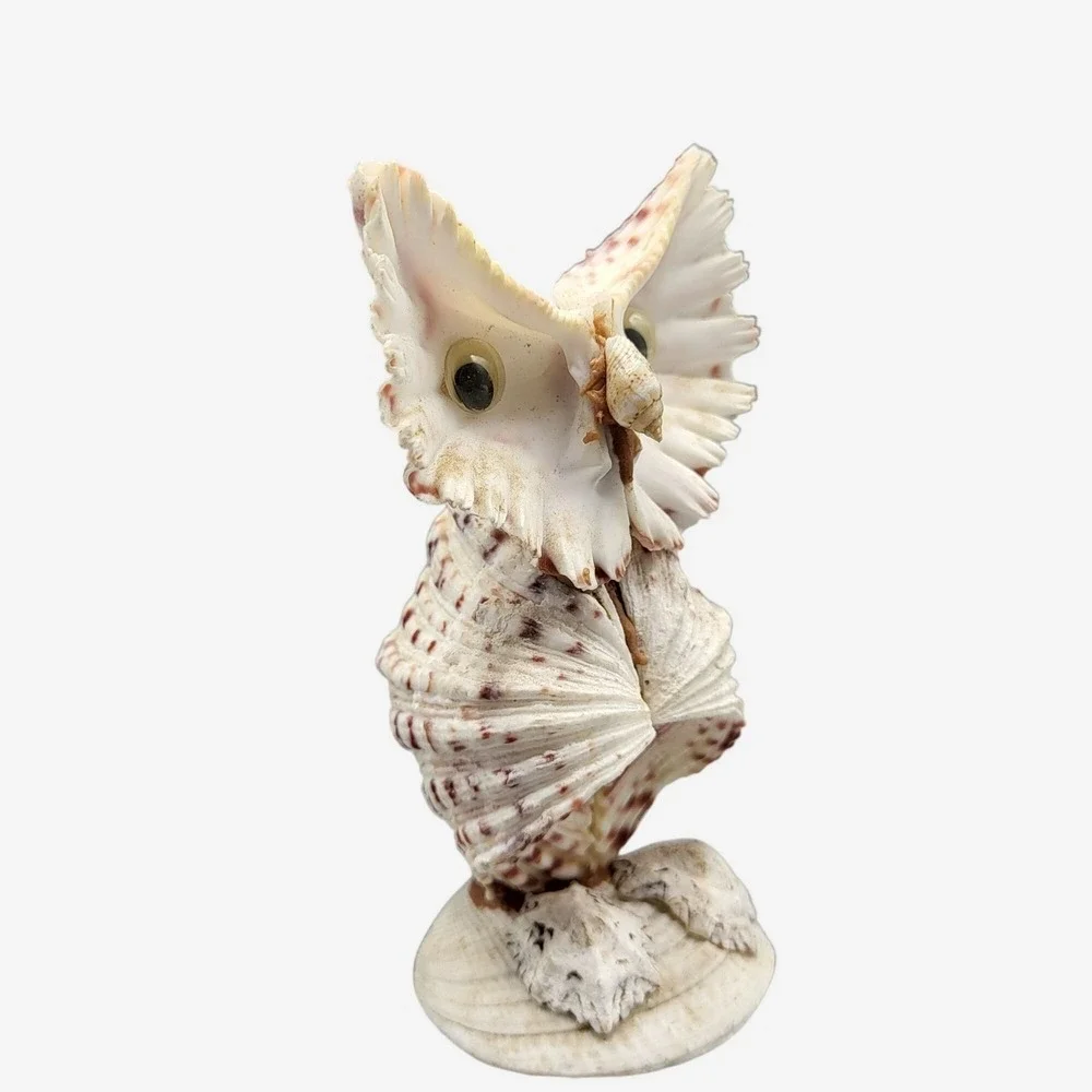 Vintage Googly Eyes Handcrafted Seashell Owl Beach decor Boho Folk Art 4